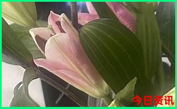 暑假去哪玩适合孩子